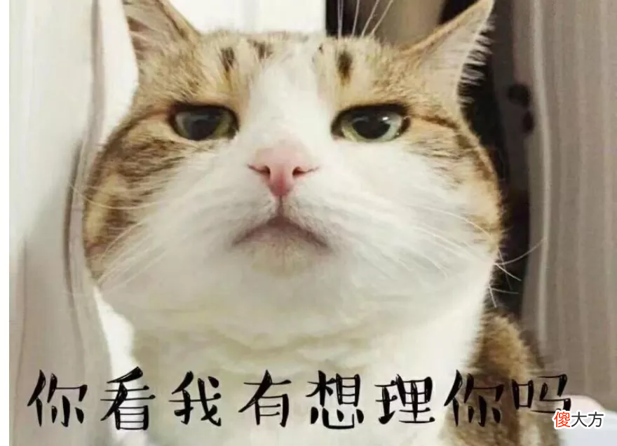 心理学：表情流行的底层原因是什么？