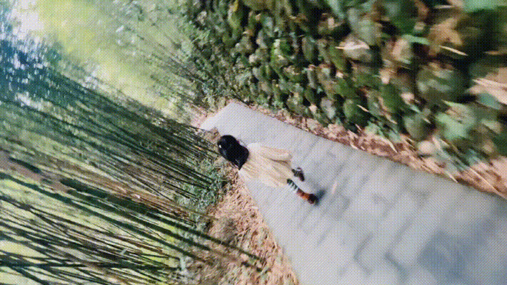 随手拍的视频 随手拍的视频语句