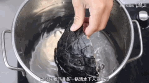 吃了那么多年龟苓膏，很多人都不清楚：里面真的有龟吗？
