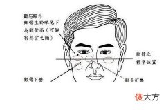 颧骨高的面相代表什么