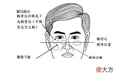 颧骨高的面相代表什么