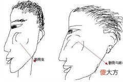男人颧骨高面相解说
