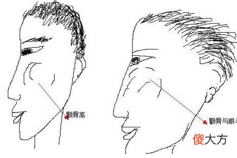 男人颧骨高面相解说