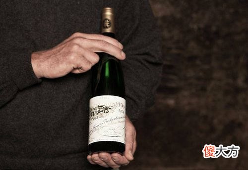 葡萄酒什么牌子好 葡萄酒的选择