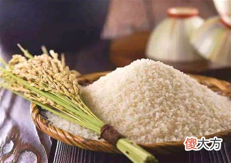 10粒米招财法