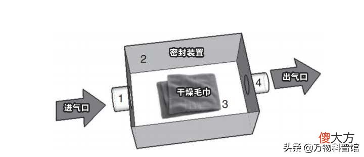 被子晒完后为什么有股味道 为什么刚晒完的被子有味道