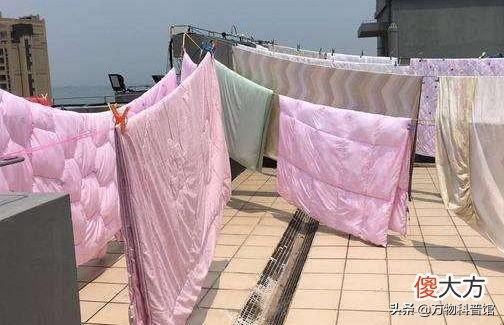 被子晒完后为什么有股味道 为什么刚晒完的被子有味道
