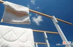 被子晒完后为什么有股味道 为什么刚晒完的被子有味道