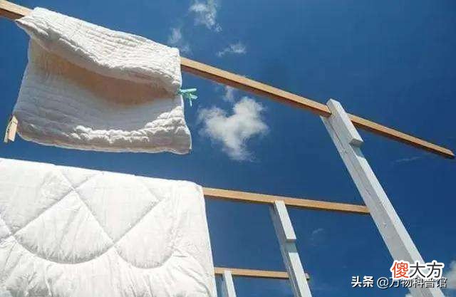 被子晒完后为什么有股味道 为什么刚晒完的被子有味道