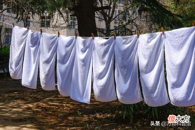 被子晒完后为什么有股味道 为什么刚晒完的被子有味道