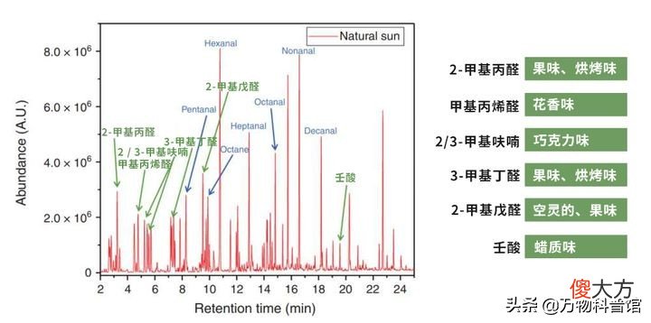 被子晒完后为什么有股味道 为什么刚晒完的被子有味道