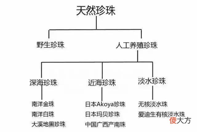 今天咱就聊聊好珍珠有哪些 珍珠有什么样的