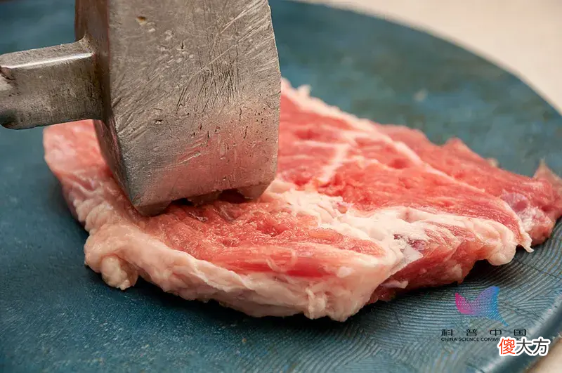 买回来的牛肉突然跳动 买回来的牛肉会动