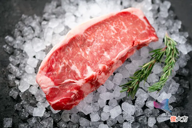 买回来的牛肉突然跳动 买回来的牛肉会动