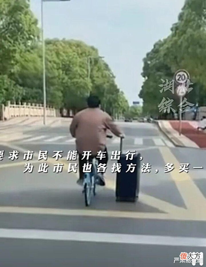 【爱历史】解封中的上海太魔幻? 民众挑着扁担采购, 骑驴出门, 犹如西天取经!
