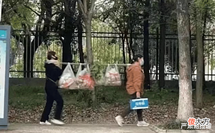 【爱历史】解封中的上海太魔幻? 民众挑着扁担采购, 骑驴出门, 犹如西天取经!