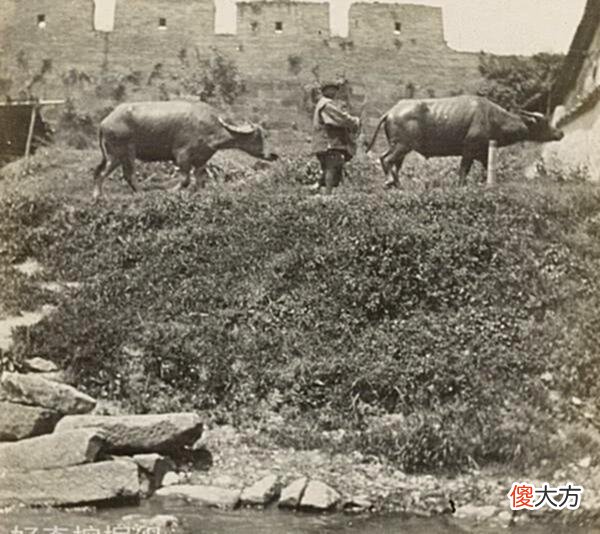 【爱历史】1908年珍贵晚清老照片，那时候雷峰塔还没倒塌