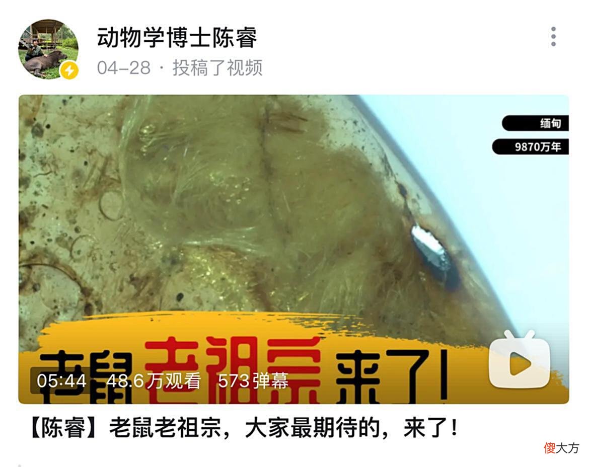 【游戏世界】睿站UP主一边趣味科普，一边跳脸输出，陈叔叔敢怒不敢言！