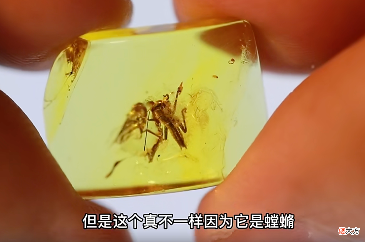 【游戏世界】睿站UP主一边趣味科普，一边跳脸输出，陈叔叔敢怒不敢言！