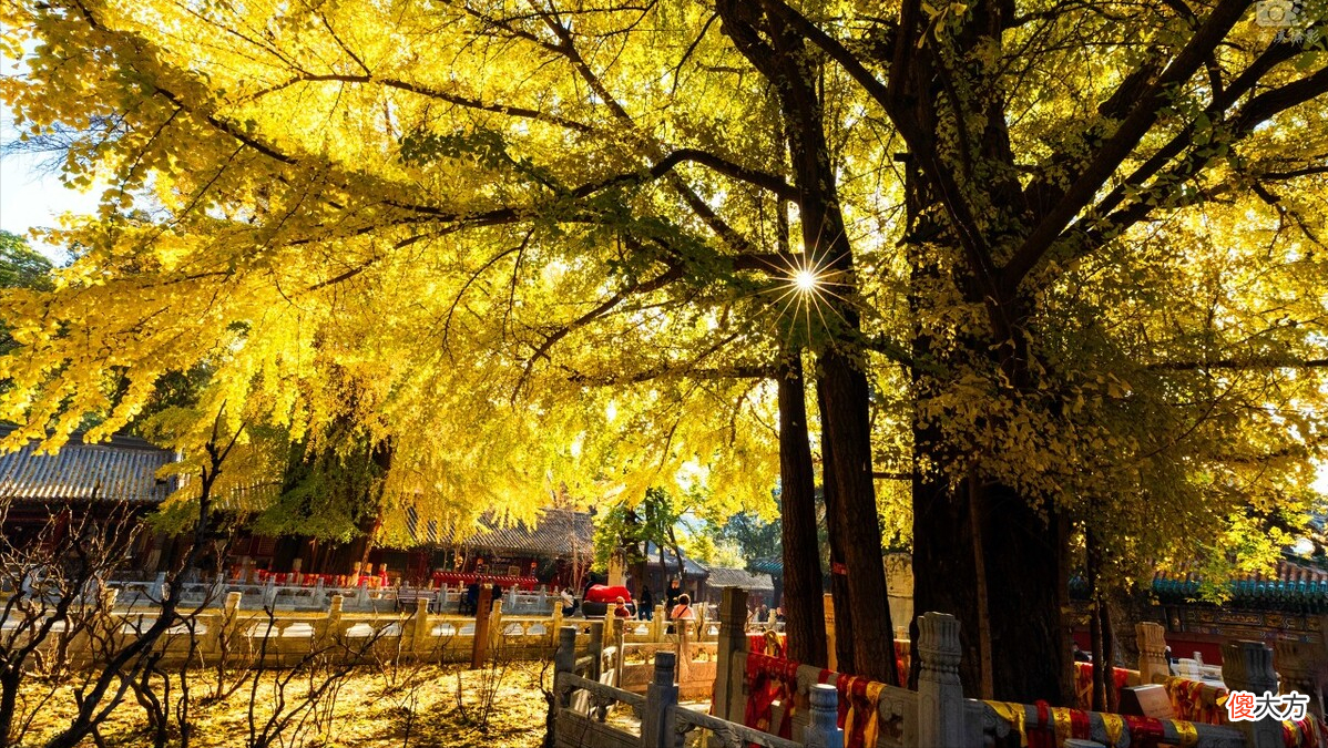 盘点全国10大求财最灵的寺庙 盘点中国10大求财最灵的寺庙