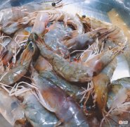 很多人常买的4种海鲜 常吃的海鲜有几种