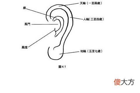 女人耳朵看相算命图解大全