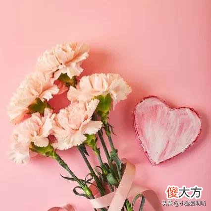 千万不要送错花了 不要再送花了