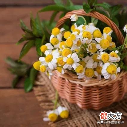 千万不要送错花了 不要再送花了