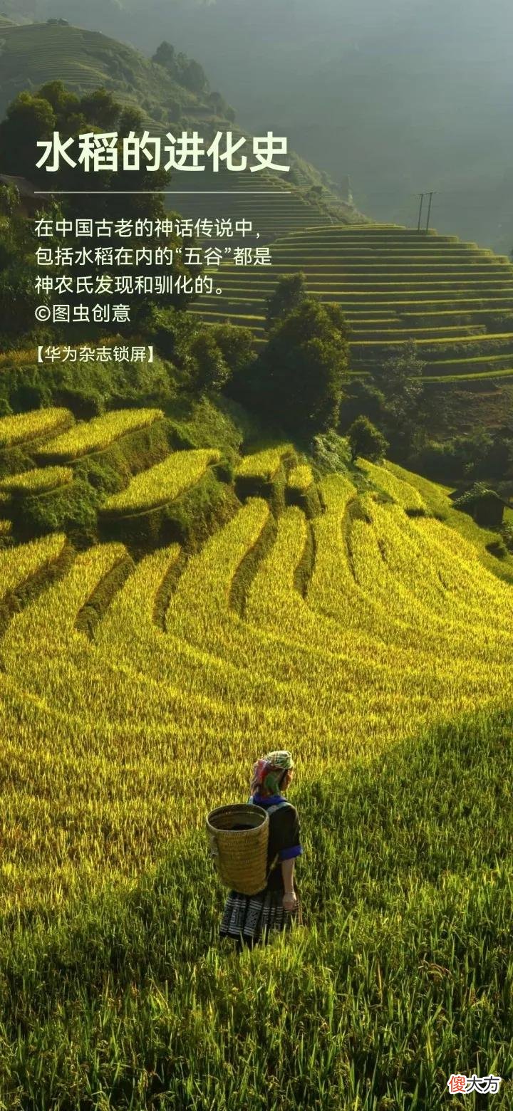 华为手机中有个美丽的宝库，里面全是宝贝，朋友们快快用起来