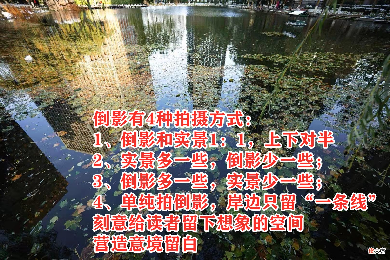 手机和相机都能用 手机相机和相机