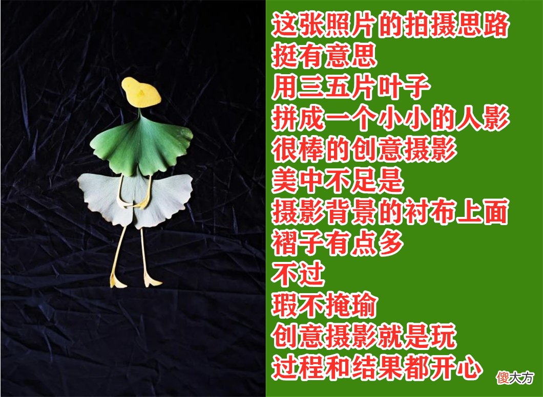 手机和相机都能用 手机相机和相机