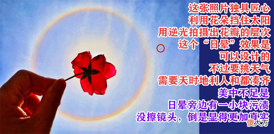 手机和相机都能用 手机相机和相机