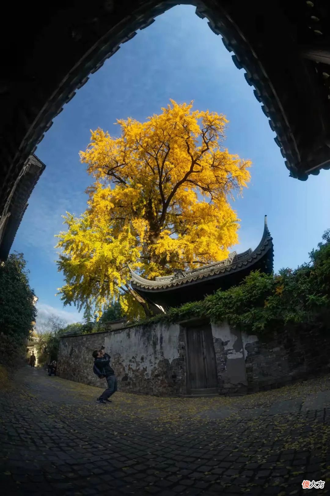 怎么才算一张好照片 怎样才是一张好的照片