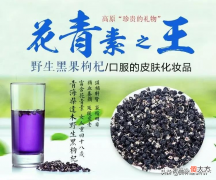 黑枸杞的食用方法及适用人群 黑枸杞的食用方法及疗效