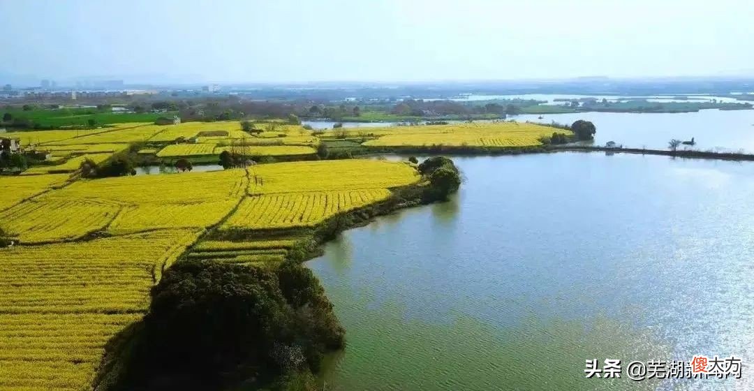 芜湖这个区凭什么 芜湖都是什么区