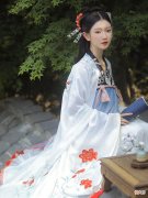 【历史故事】甜文《重生也没能摆脱年下的套路》侯府迎来一嫡女，只能宠着惯着
