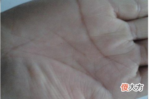 智慧线断开代表什么