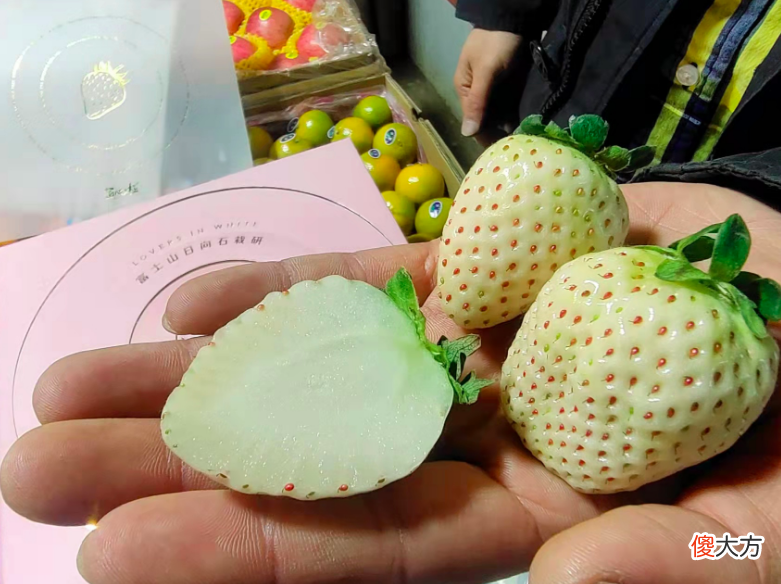 这款供不应求的白草莓为啥这么贵 白色的草莓为什么这么贵