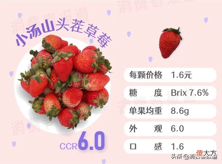 6款高档草莓试吃：5元一颗的“白富美”草莓，颜值和实力哪个更扛打？