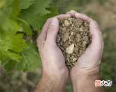 很多酒店都在亏钱为什么还开 开个红酒店投资多少钱