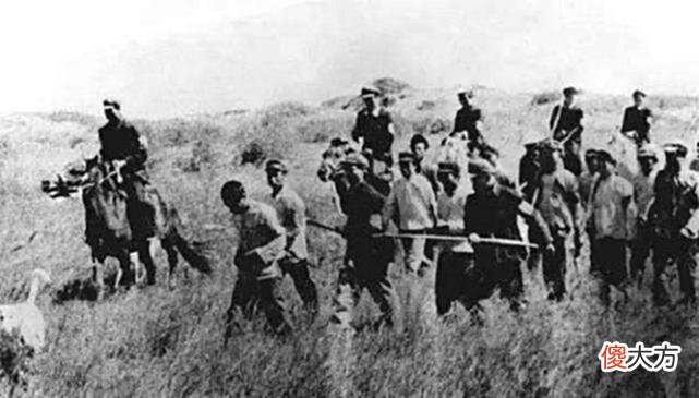 【爱历史】1952年,湖南一国民党少将枪决前一刻被养女救下,怎么回事?
