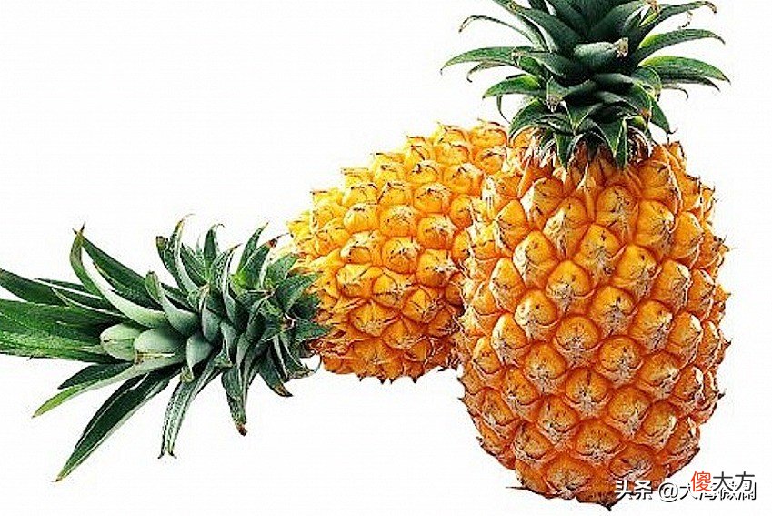 三伏天要多吃这菜 三伏天吃菜好