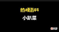【游戏世界】『热梗百科』“小趴菜”是什么梗？