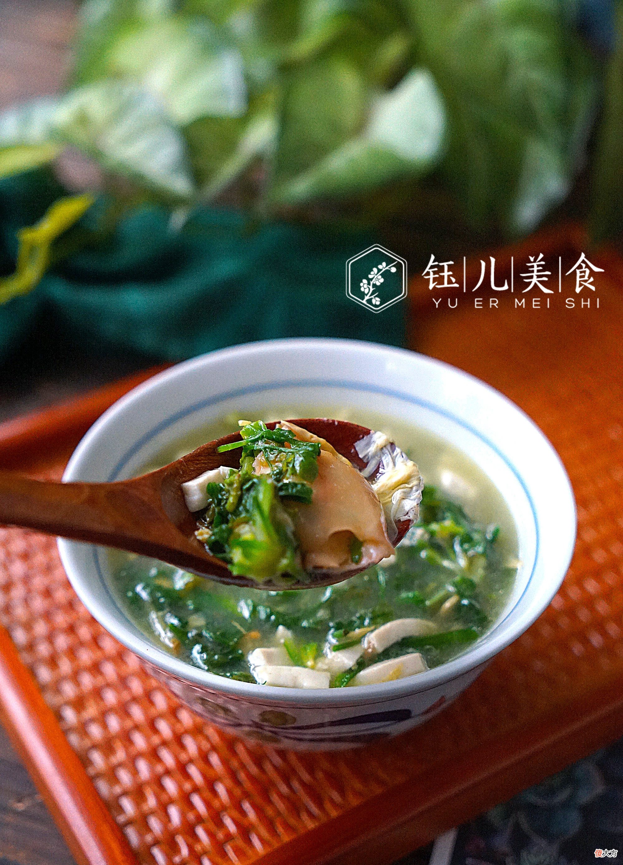 宁可不吃肉也不要错过这野菜 野菜是不能随便吃的