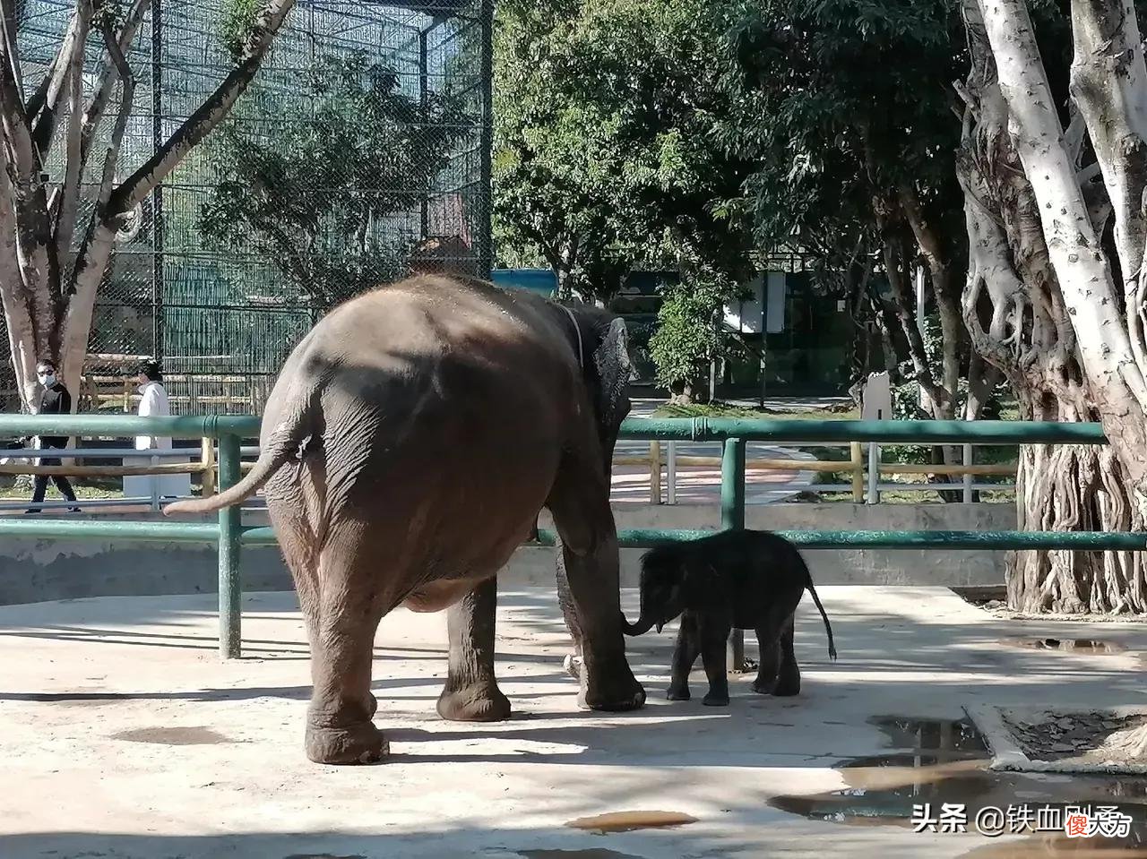 西双版纳州首府景洪市区内11处好玩景点 西双版纳景洪市好玩的地方