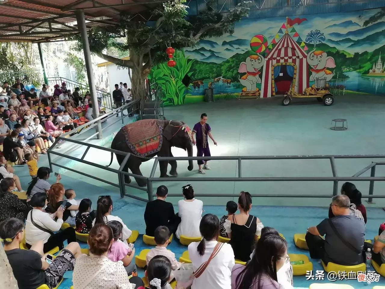 西双版纳州首府景洪市区内11处好玩景点 西双版纳景洪市好玩的地方