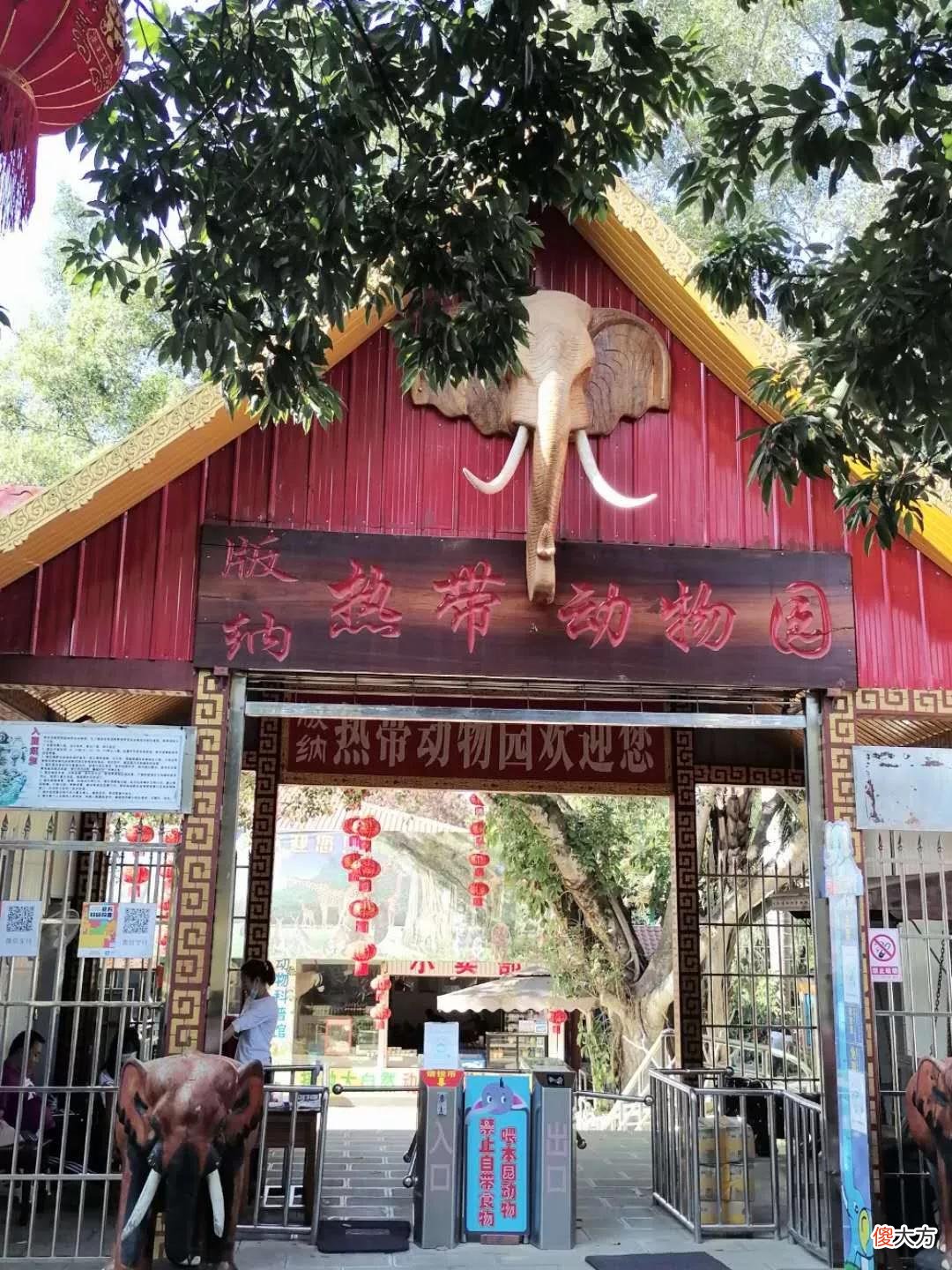 西双版纳州首府景洪市区内11处好玩景点 西双版纳景洪市好玩的地方