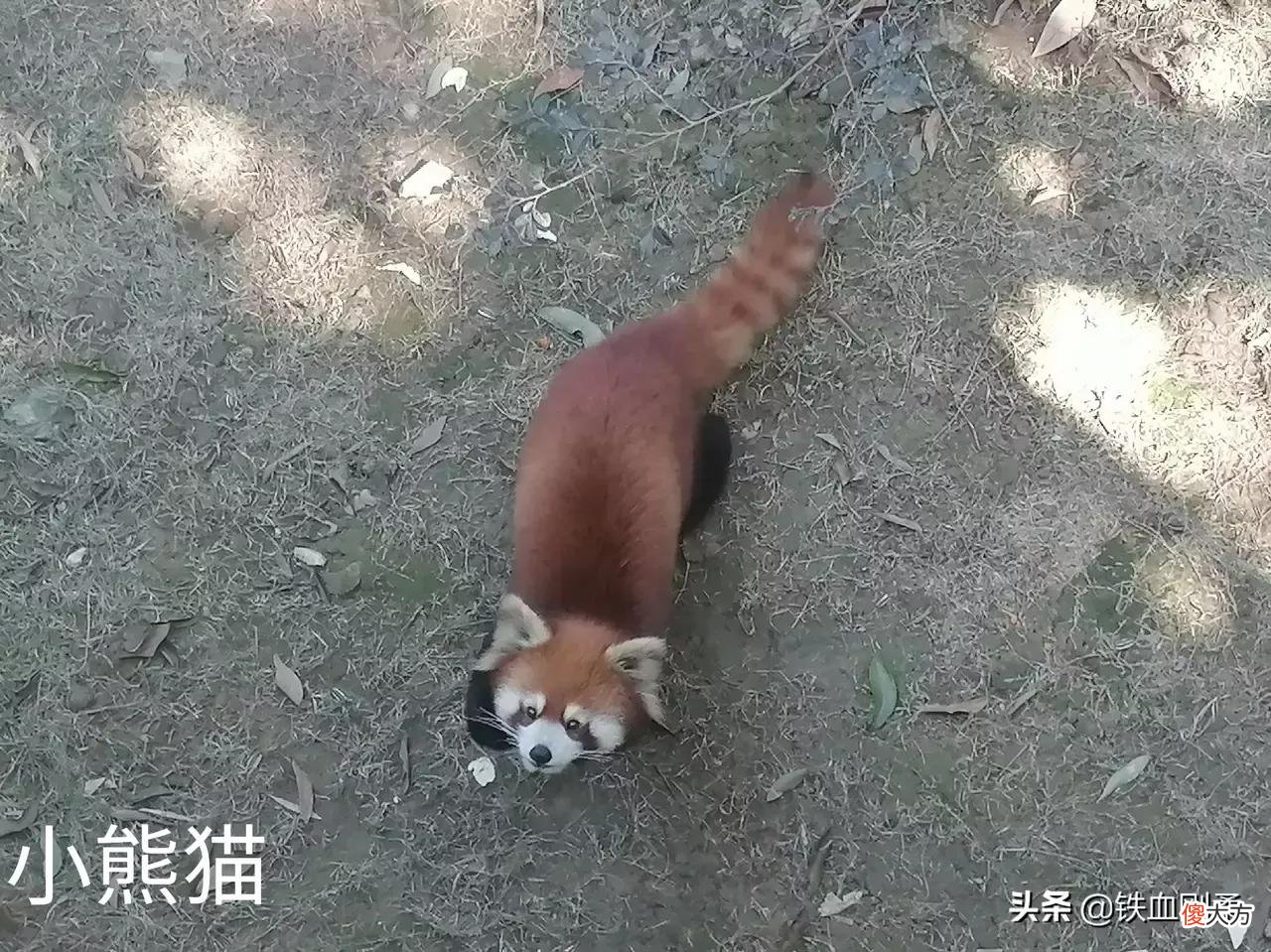 西双版纳州首府景洪市区内11处好玩景点 西双版纳景洪市好玩的地方