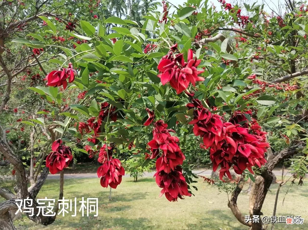 西双版纳州首府景洪市区内11处好玩景点 西双版纳景洪市好玩的地方