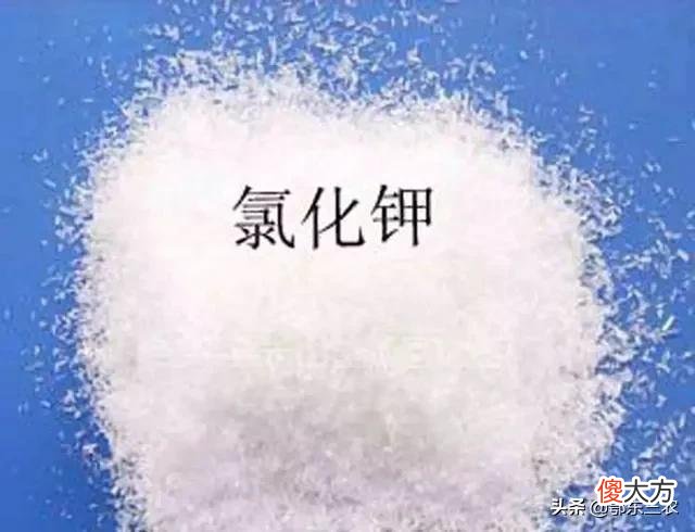 在具体的作物使用上有区别吗 作物和农作物有什么区别